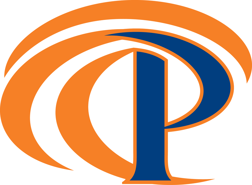 Pepperdine Waves 2011-Pres Secondary Logo iron on transfers for T-shirts